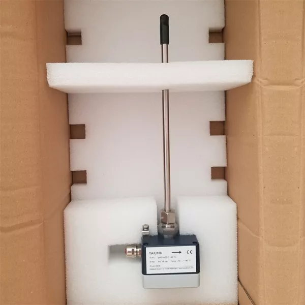 热式质量流量计TA10-965GE140/p16ZG2d_一体插入式结构_探头长度